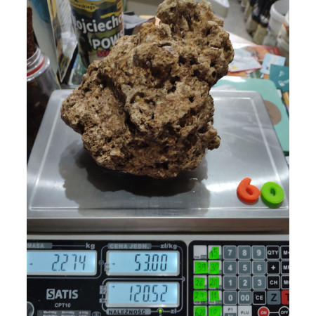 Żywa skała do akwarium morskiego - bryła nr. 60